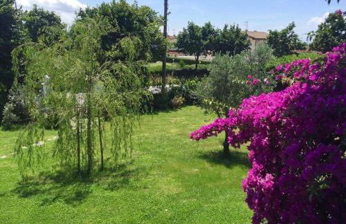 La Bouganville - Piscina e Relax - Foto 22