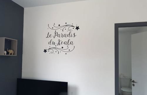 Perroquet & Koala 2 logements 10min du zoo de Beauval et proche château - Foto 51