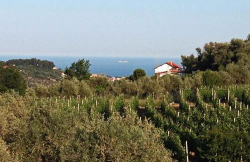 Agriturismo Ada Musso ss - Foto 44