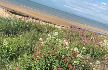 Le Rooftop d’Isa - Photo 31