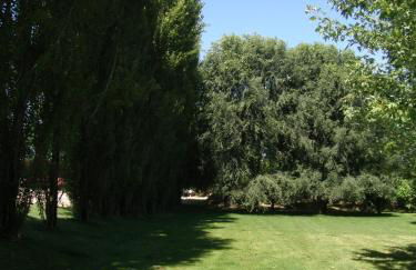 Agriturismo Greppi - Foto 36