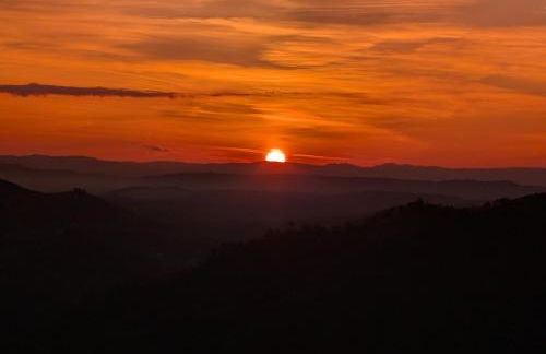 Bela Vista - Foto 25