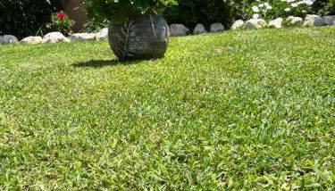 Villa Alexander - Foto 2