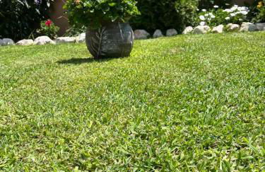 Villa Alexander - Foto 2