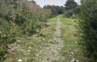 T2 appartment with sea view and swimmimg pool. - Foto 32