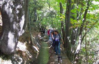 Alojamiento Rural Mirador del Avellano - Foto 16