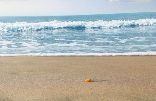 Mas Can Calet Aparthotel - Foto 111