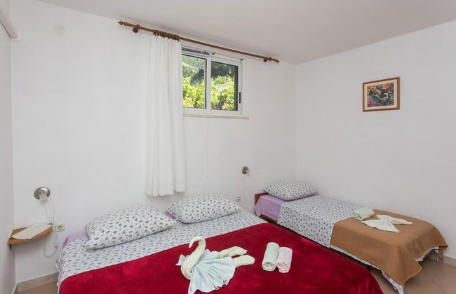 Apartments Villa Dingac - Borak - Photo 13