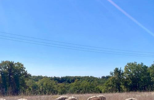 Oasis du Quercy - Foto 19