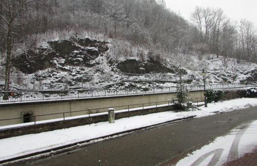 FeWo Harz Haennig 2 - Foto 33