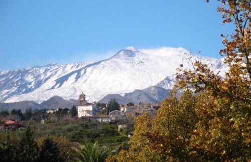 Villa Iolanda-Sive Natura Wine&House - Foto 36