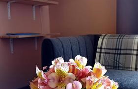 Faial Cottage - Photo 11