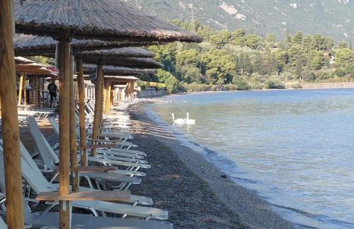 Thalantheia House - Photo 34