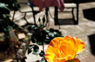 Manzoni Apartment - Foto 25