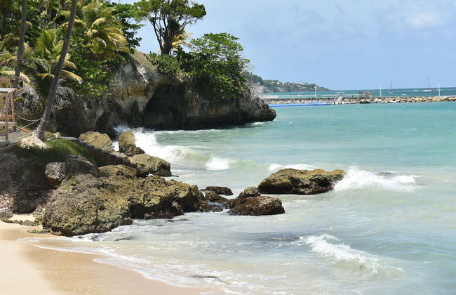 Résidence de la vieille tour - Foto 35