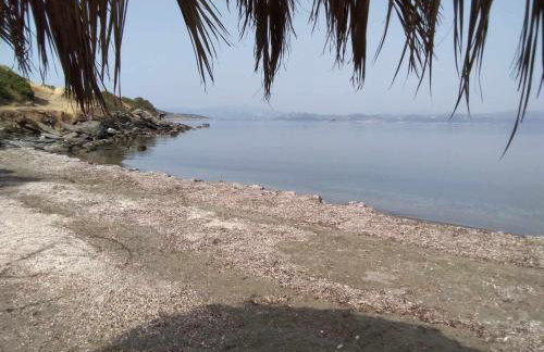 Evia Escape - Foto 31