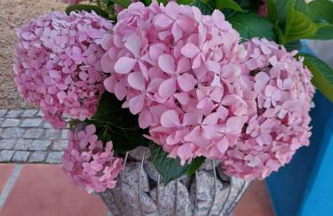 Monte do Sobreiro - Foto 34