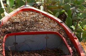 Bellina Villa - Foto 34