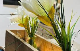 CitiMarina56 - Foto 1