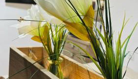 CitiMarina56 - Foto 1