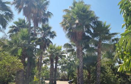 villa Bismarkia - Photo 40