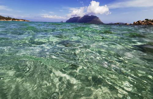 Wanna's Apartment Olbia - Foto 28