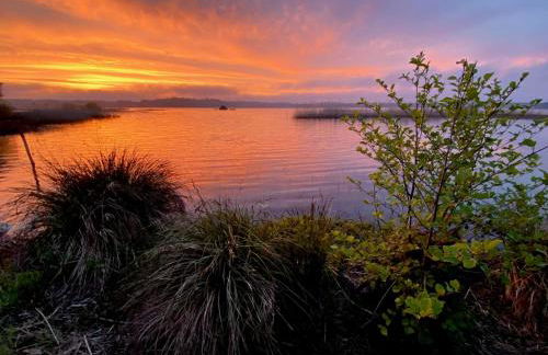 Domaine forestier Darricau au bord du lac, 12 min de l'océan - Foto 6