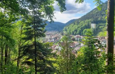 Ferienwohnung am Enzufer mit Wintergarten Bad Wildbad im Schwarzwald - Foto 30