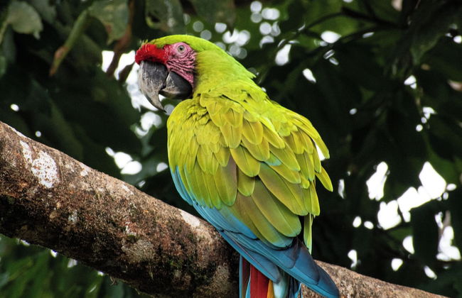 Villa Paraíso - Foto 36