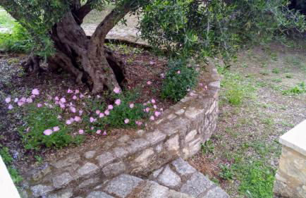 Tzitzifes Stone Mansion - Foto 29