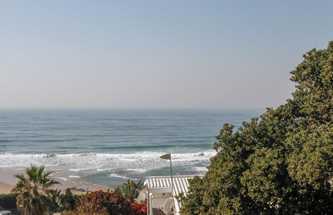 Carpe Diem - Photo 64