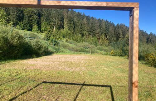 Le Perchoir, Gîte 7 personnes, Le Grand Valtin - Foto 43