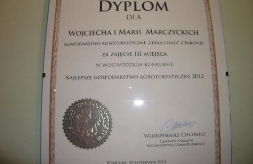 Agroturystyka Leśna Chata - Foto 22