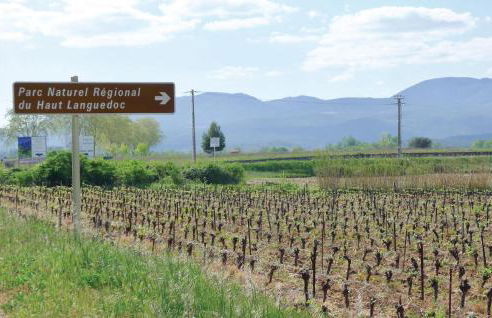 Holiday Home Cessenon Sur Orb Mn-1265 - Foto 17