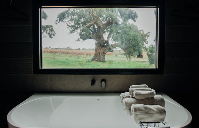 CABN McLaren Vale - Foto 38