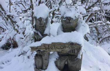 Bear’s Den Hideaway with Hot Tub - Foto 37