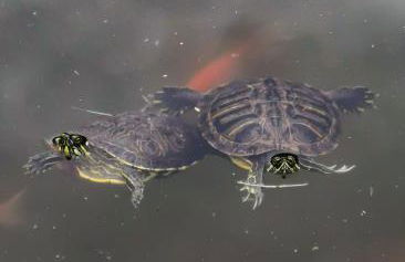 Apartamento Puesta De Sol - Foto 30