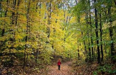 Barton City Lodge - Foto 22