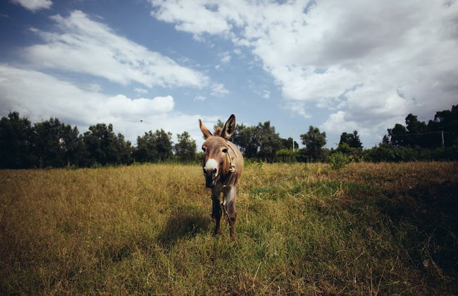 Su Leunaxiu - Foto 62