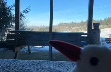 Chalet bois au calme, en lisière de forêt, balcons, sentiers balades Gérardmer & Alsace "Chalet Mon beau sapin" - Foto 36