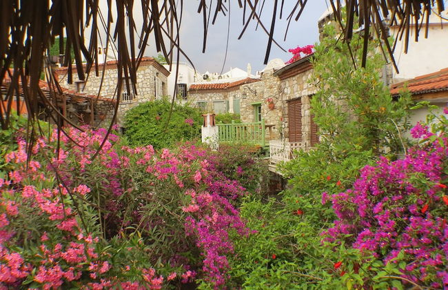 8 Oda Boutique Homes - Photo 50