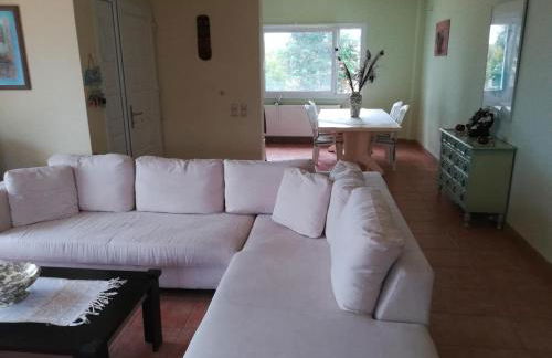 Luxury Beachfront Villa Poseidon Artemisiou Παραθαλάσσια Βίλα στην βόρεια Εύβοια για φιλοξενία 9 ατόμων - Foto 5