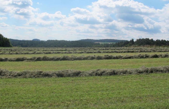 Detached Holiday Home in an Idyllic Quiet Location - Photo 70