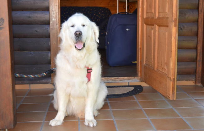 Cabañas de Lires - Foto 28