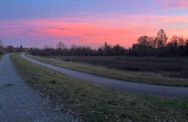 Ferienhaus Hoffmann am Rheinbogen - Foto 34