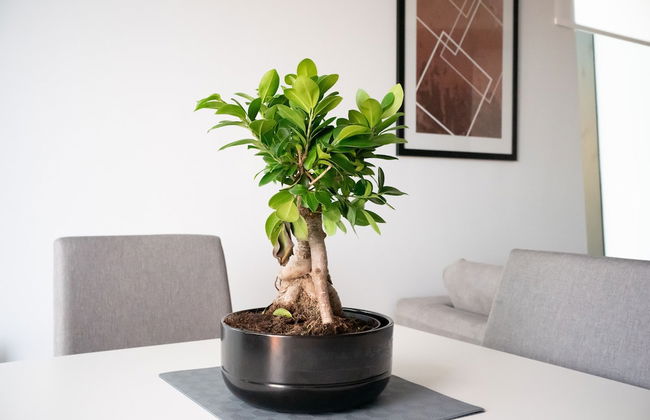 Hilltop Serviced Apartments- Deansgate - Foto 47