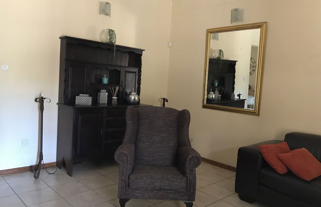 Vintage Palm - Foto 8