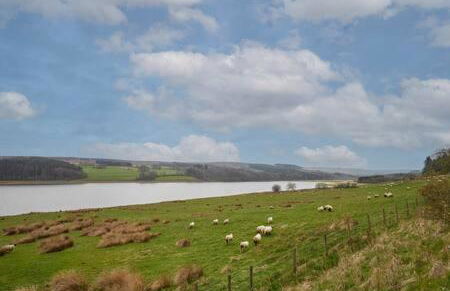 Host & Stay - Himmell - Foto 38