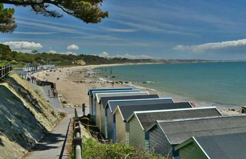 Shepherds Hut with Scandinavian Hot Tub and hydromassager - Foto 33