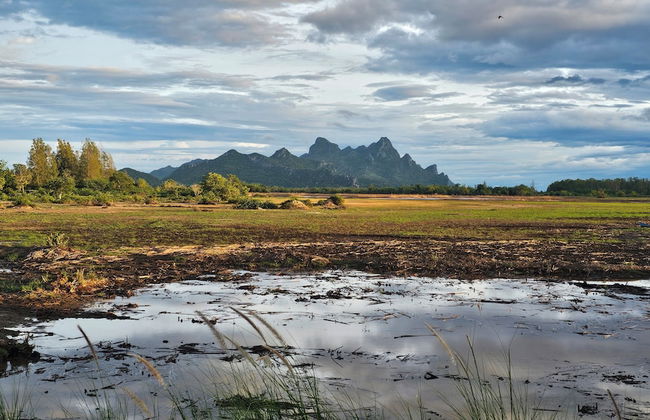 Pause Pranburi - Foto 33